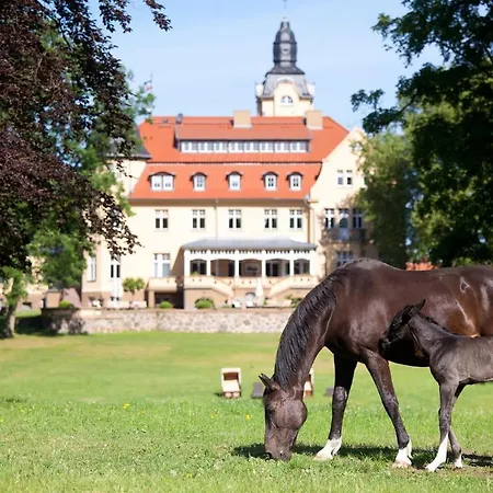 Haus 7 Hébergement de vacances Wendorf (Kuhlen-Wendorf)